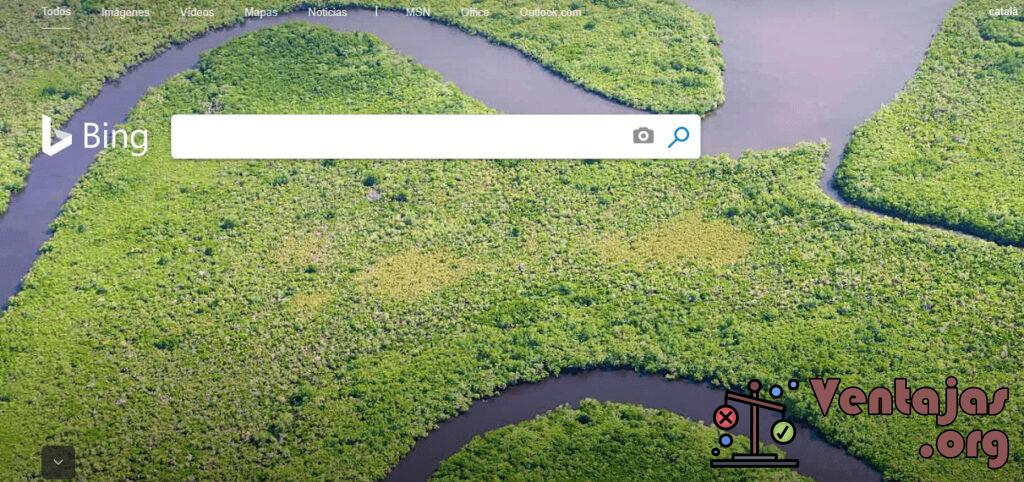 Ventajas y Desventajas de Bing