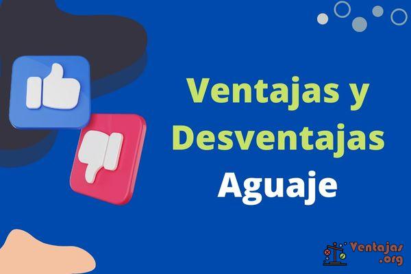 Ventajas y Desventajas del Aguaje