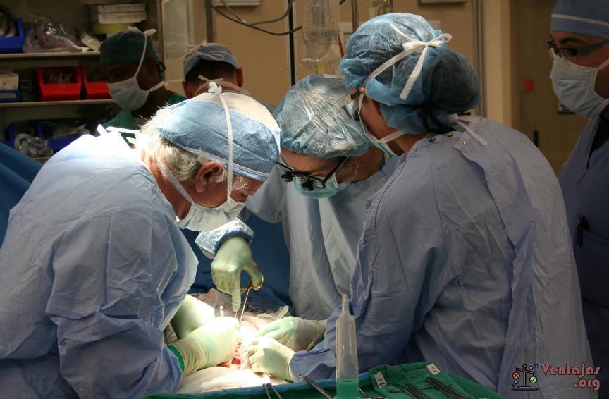 Ventajas y Desventajas del Trasplante de Órganos