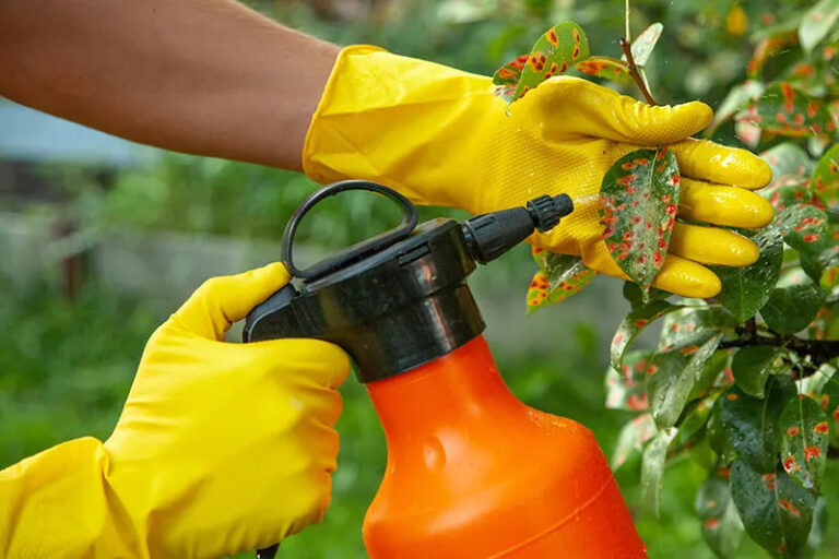 Ventajas y Desventajas de los Insecticidas