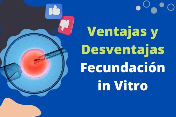 Ventajas y Desventajas de la Fecundación in Vitro