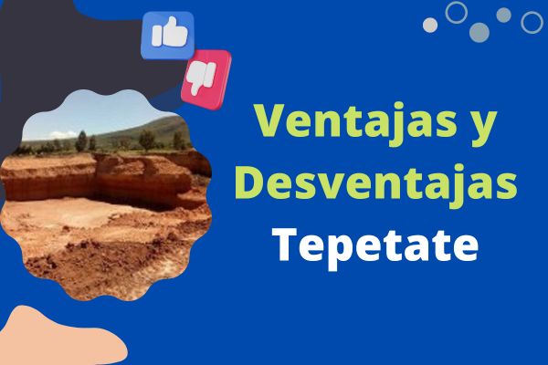 Ventajas y Desventajas de Tepetate