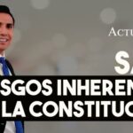 Ventajas y Desventajas del SAS: Todo lo que Necesitas Saber
