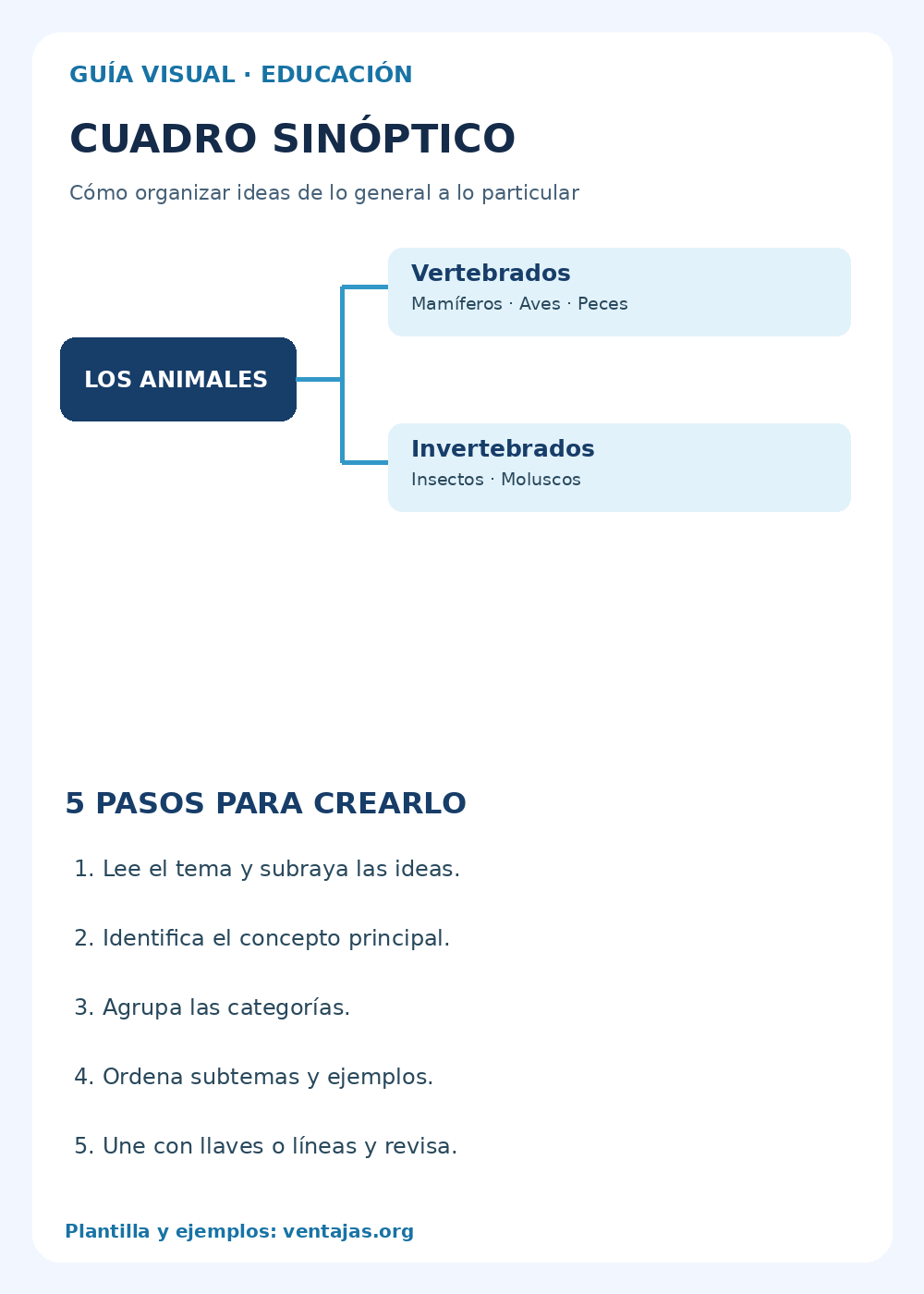Infografía con ejemplo de cuadro sinóptico y cinco pasos